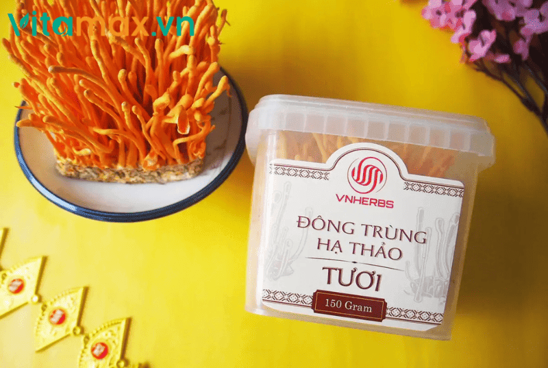 Tác dụng của đông trùng hạ thảo hữu cơ phục hồi phổi