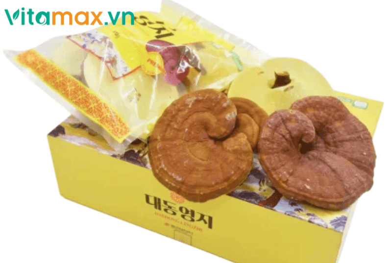 tác dụng của nấm linh chi là gì