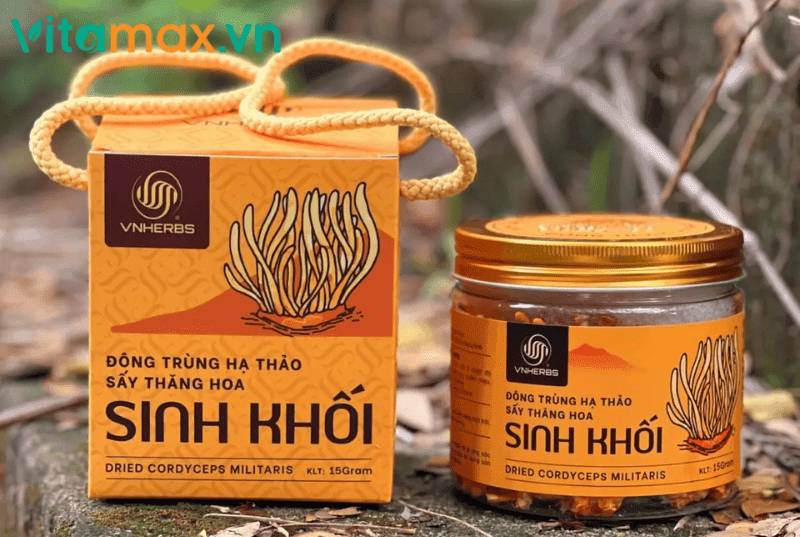 quá trình hình thành đông trùng hạ thảo nhân tạo