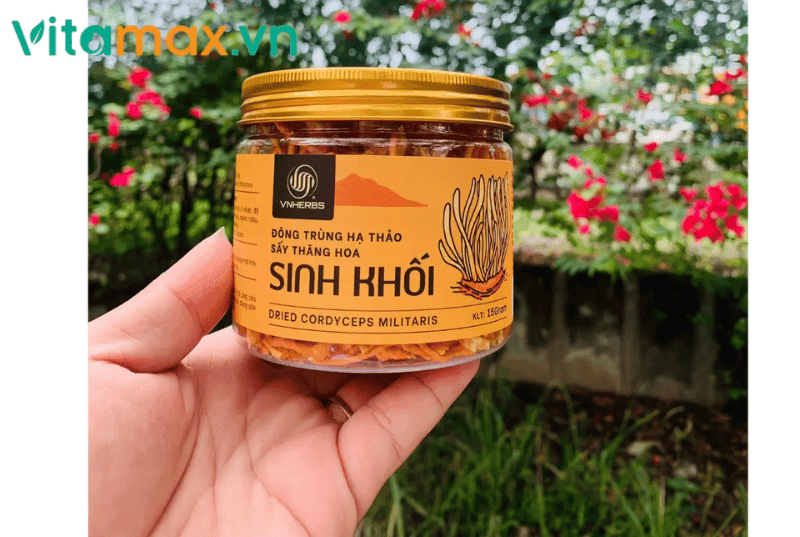đặt ở nơi khô ráo để tránh làm đông trùng hạ thảo khô bị mốc