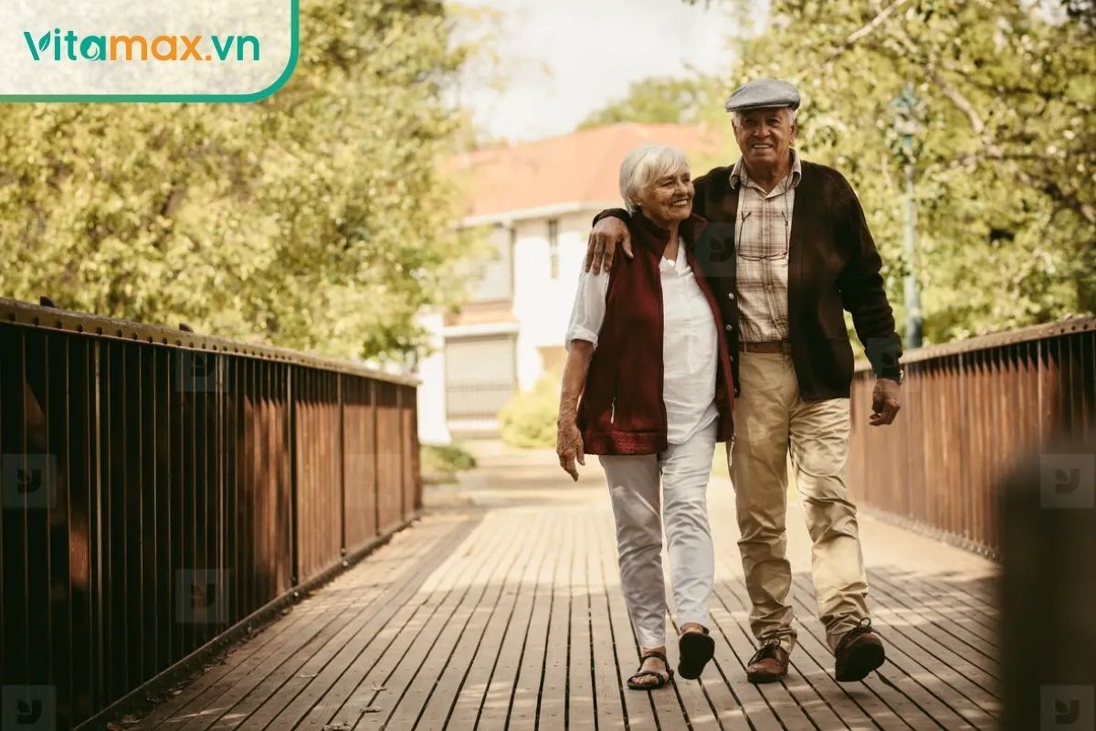 sâm Hàn Quốc ngâm rượu giúp cải thiện trí nhớ và tuổi thọ