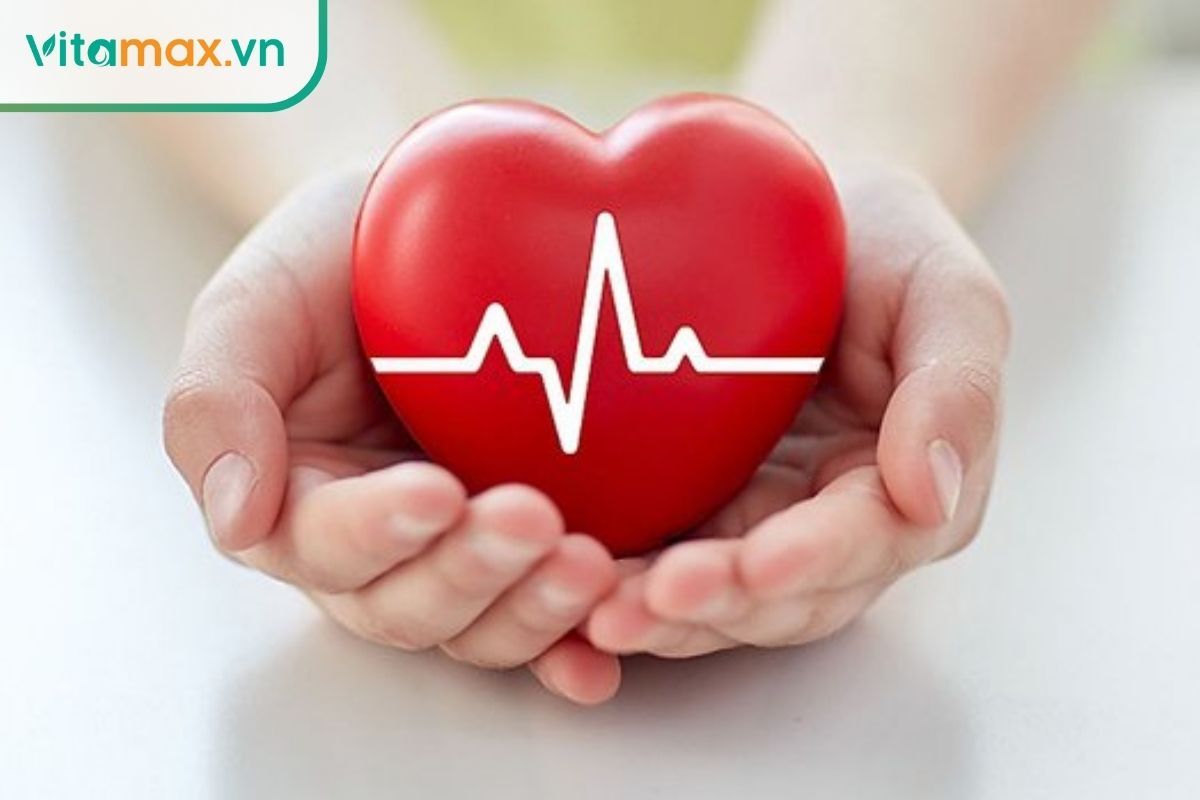 Công dụng sâm Hàn Quốc ngâm mật ong bảo vệ tim mạch