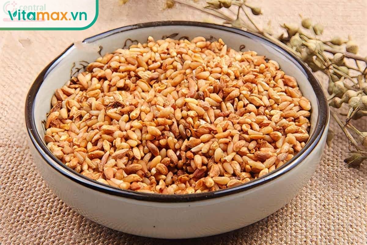 Bá tử nhân đã sơ chế màu vàng nâu được đựng trong bát, các hạt nhỏ thuôn dài và có bề mặt tự nhiên không đồng đều.