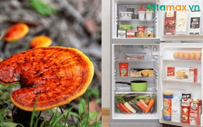 bảo quản nấm linh chi khô