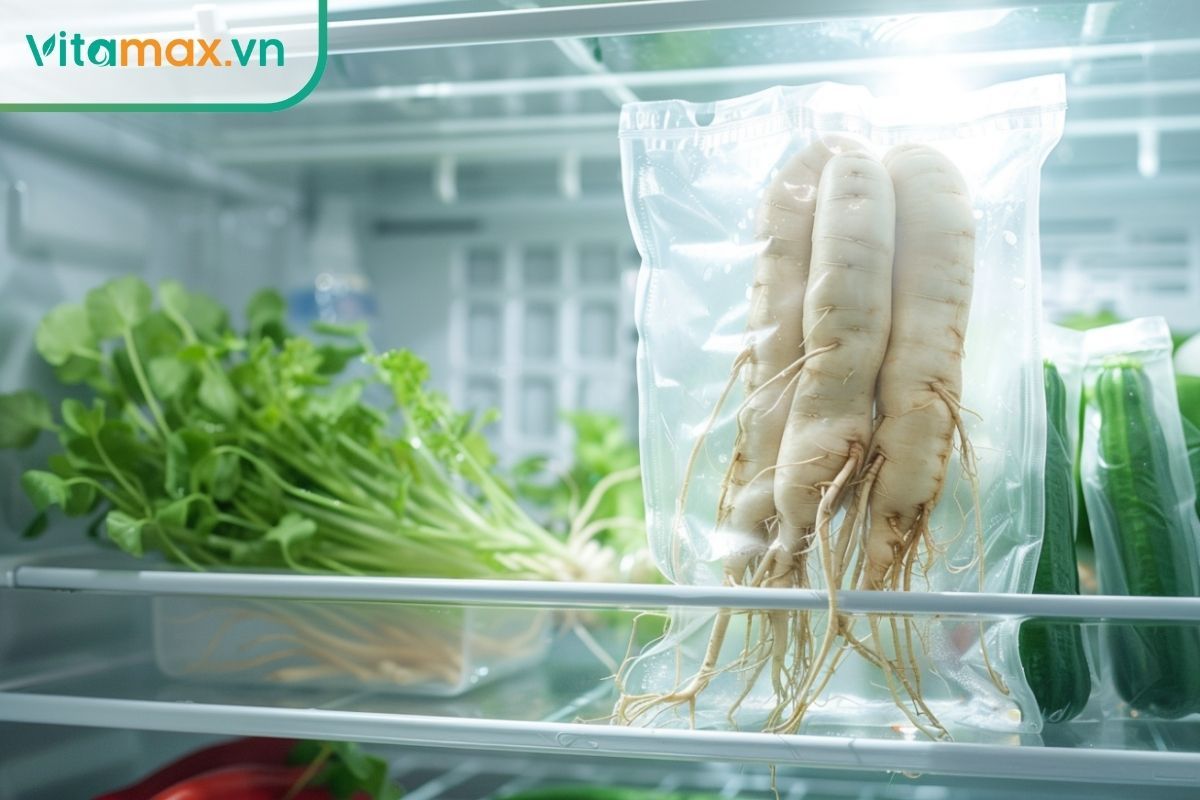 Bảo quản sâm tươi trong tủ lạnh ở nhiệt độ 3°C