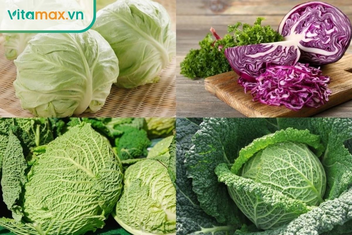 Bắp cải là loại rau vừa tốt cho người bệnh thận, vừa giúp gan chống oxy hóa và giải độc.