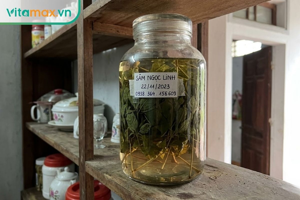 Bình thủy tinh lớn ngâm rượu lá sâm Ngọc Linh màu xanh nhạt được đặt trên kệ gỗ trong một ngôi nhà tại Việt Nam.