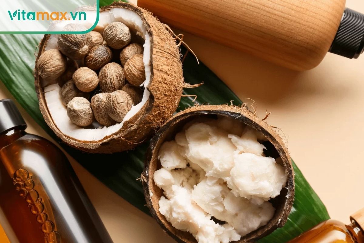 Bơ hạt mỡ là một loại thảo dược làm đẹp da thiên nhiên quý giá.