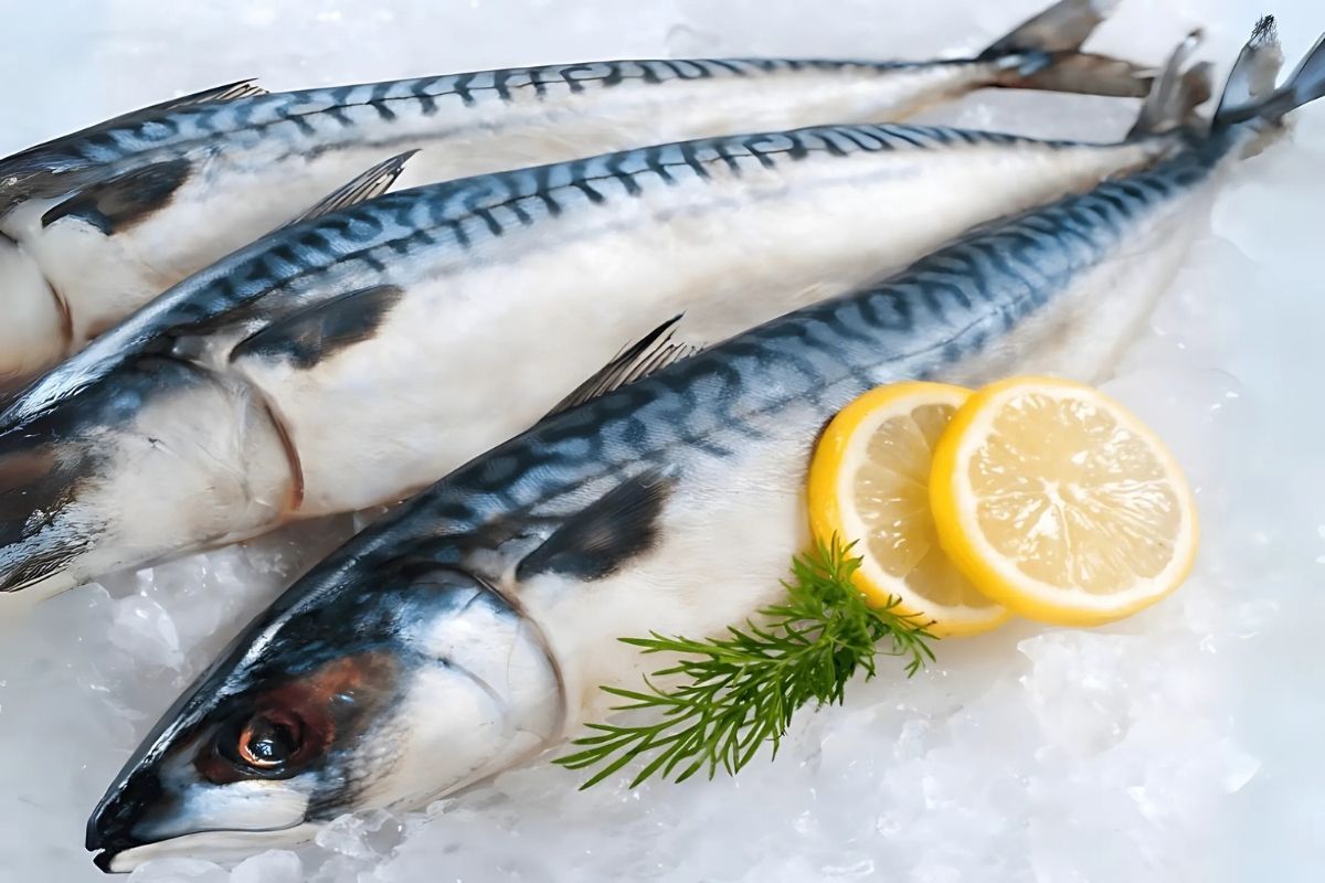 Cá thu: Giàu omega-3 tốt cho gan, nhưng người bệnh thận cần dùng với khẩu phần hợp lý.