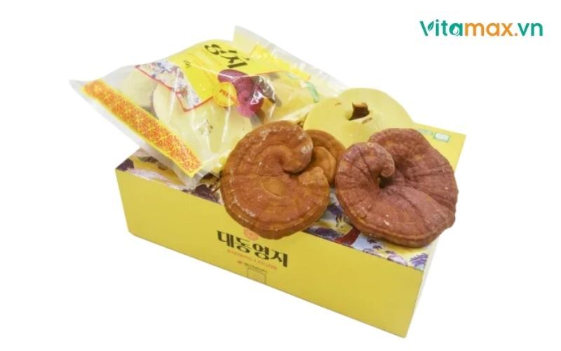 các loại nấm linh chi và công dụng