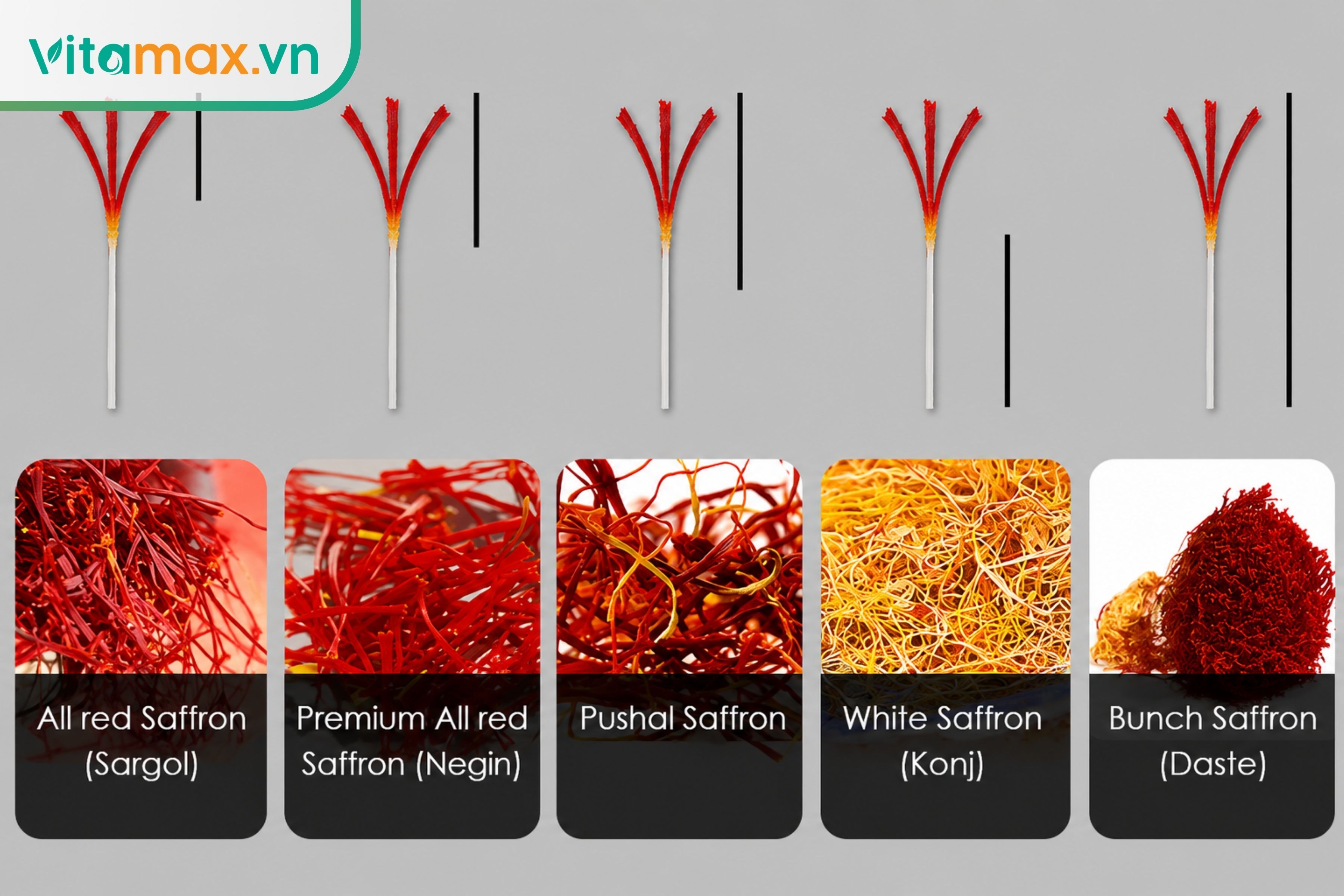 Các loại saffron phổ biến được phân biệt theo phần nhụy đỏ, chân vàng và phần gốc trắng của sợi.