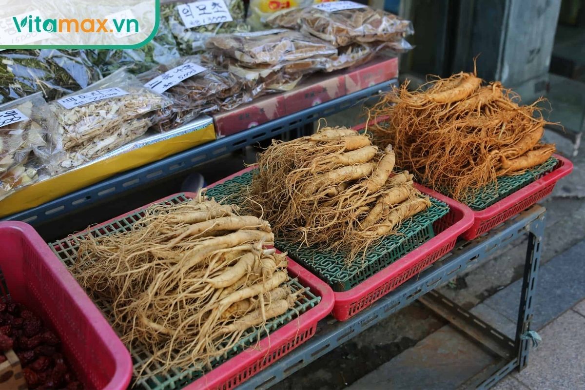 các loại sâm tươi Hàn Quốc được xếp theo kích thước 2 đến 10 củ 1kg trên khay gỗ