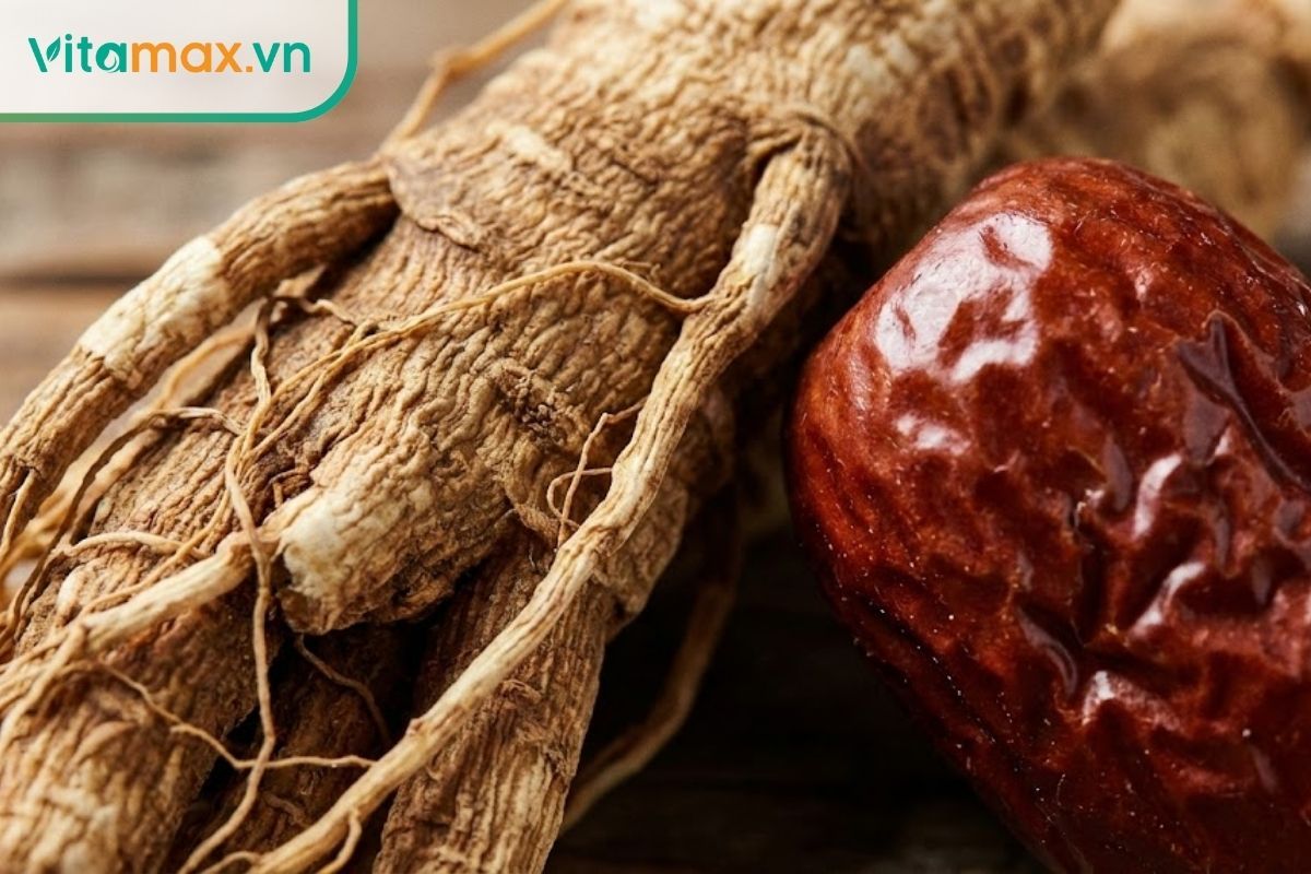 cận cảnh củ sâm hàn quốc già và táo đỏ khô thịt dày chất lượng cao