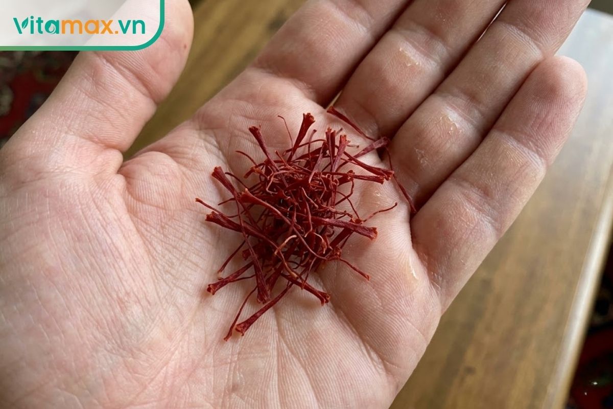 Một nhúm nhỏ sợi nhụy hoa nghệ tây đỏ thẫm, nguyên vẹn được đặt trên lòng bàn tay để kiểm tra độ khô và chất lượng.