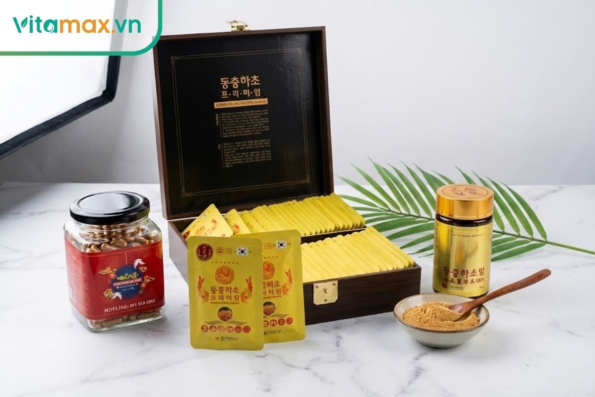 Bộ sản phẩm đông trùng hạ thảo đa dạng gồm lọ viên nang, gói nước và hũ bột đặt trên nền đá sạch sẽ.