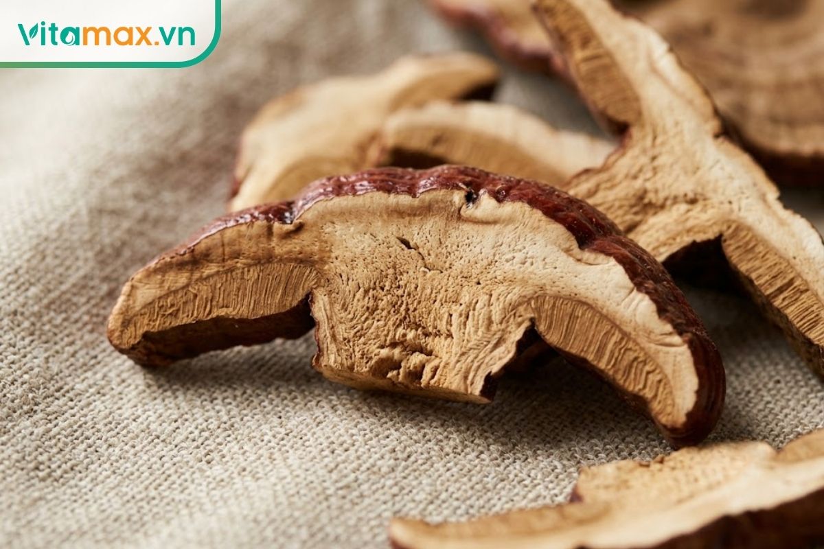 Chụp cận cảnh chi tiết bề mặt và các vân gỗ tự nhiên của những lát nấm linh chi đỏ khô được đặt trên một tấm vải linen.