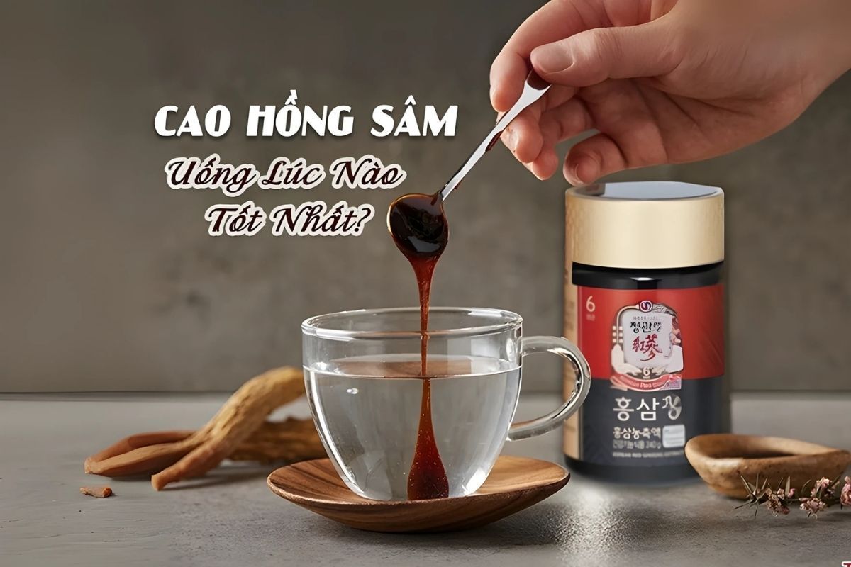 Cao hồng sâm uống trước ăn 30-60 phút với nước ấm theo đúng trên nhãn.