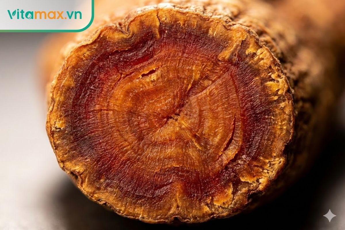 mặt cắt lát sâm hàn quốc lộ rõ thớ sâm đặc chắc và vân sâm đồng nhất