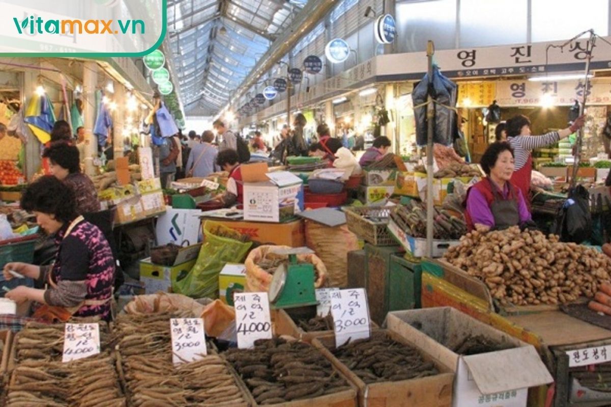 Chợ nhân sâm Geumsan – trung tâm sâm lớn nhất Hàn Quốc