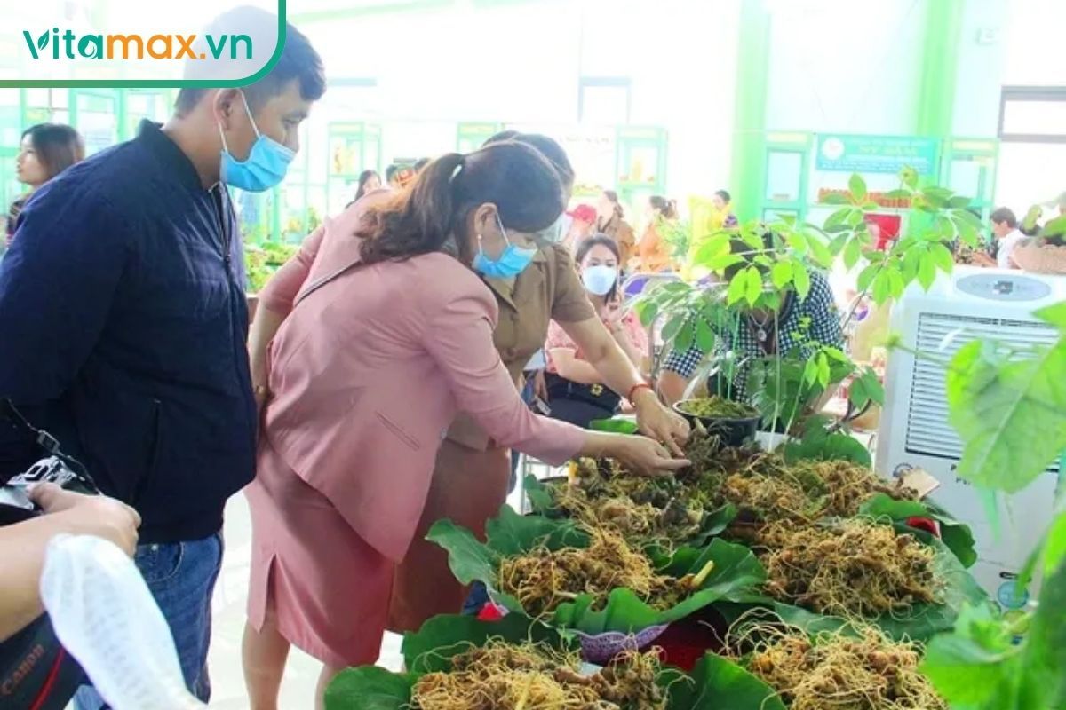 Không gian một phiên chợ vùng cao mộc mạc. Trên chiếc bàn trải nilon xanh, những củ sâm tươi nhiều kích cỡ được bày bán thành từng cụm. Phía sau là bóng dáng lờ mờ của người bán hàng địa phương.
