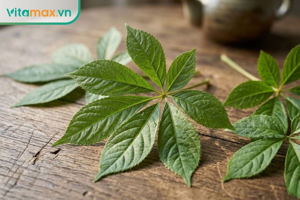 dac-diem-la-sam-ngoc-linh-tuoi.jpgCận cảnh chi tiết hình dáng và đường gân của lá sâm Ngọc Linh tươi đặt trên mặt bàn gỗ tự nhiên, bối cảnh ánh sáng đời thường chân thực.