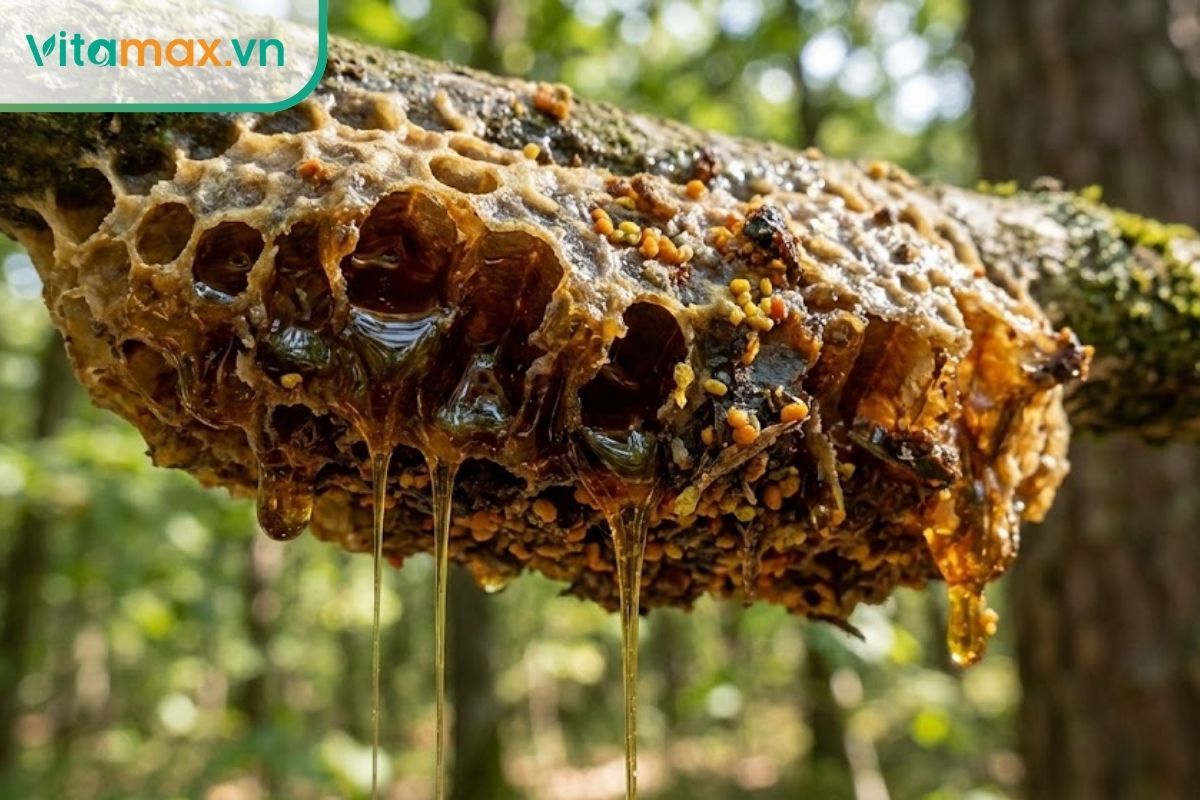 Sáp mật ong rừng tự nhiên với kết cấu thô và màu sắc đậm đà.