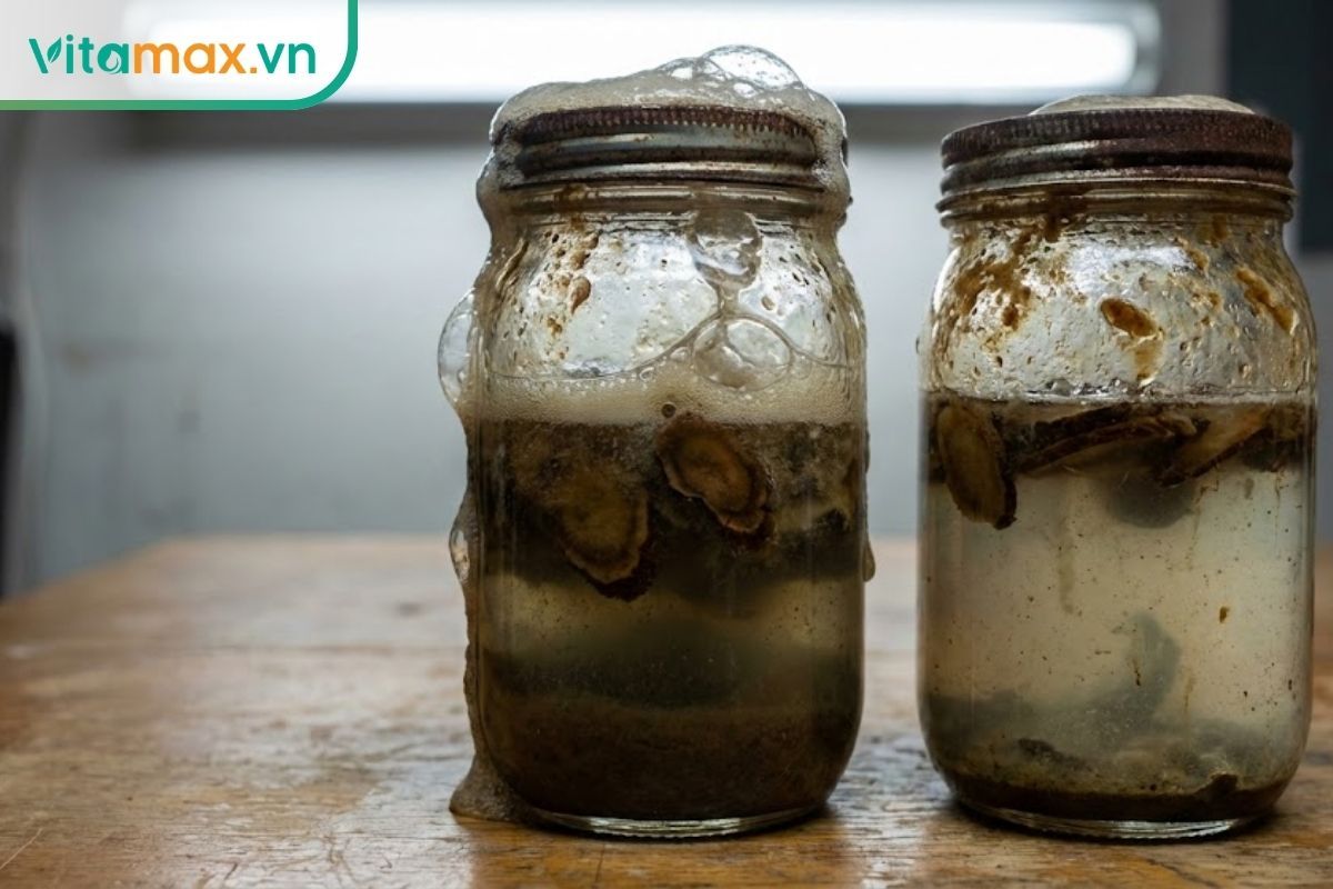 Hũ sâm ngâm mật ong bị hỏng với lớp bọt sủi mạnh, trào lên cổ lọ, nước mật ong bị loãng và đục.