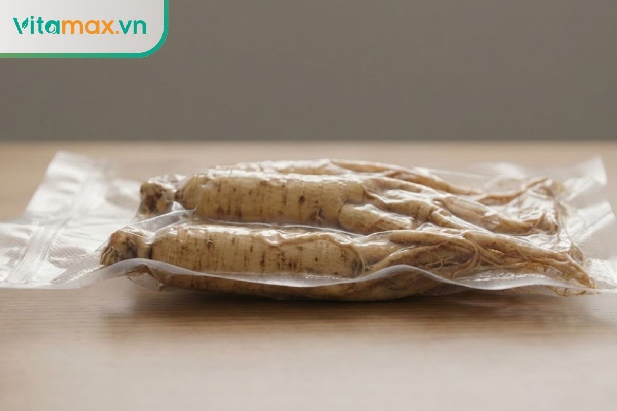 Túi sâm tươi đã được hút chân không kín khí hoàn toàn.