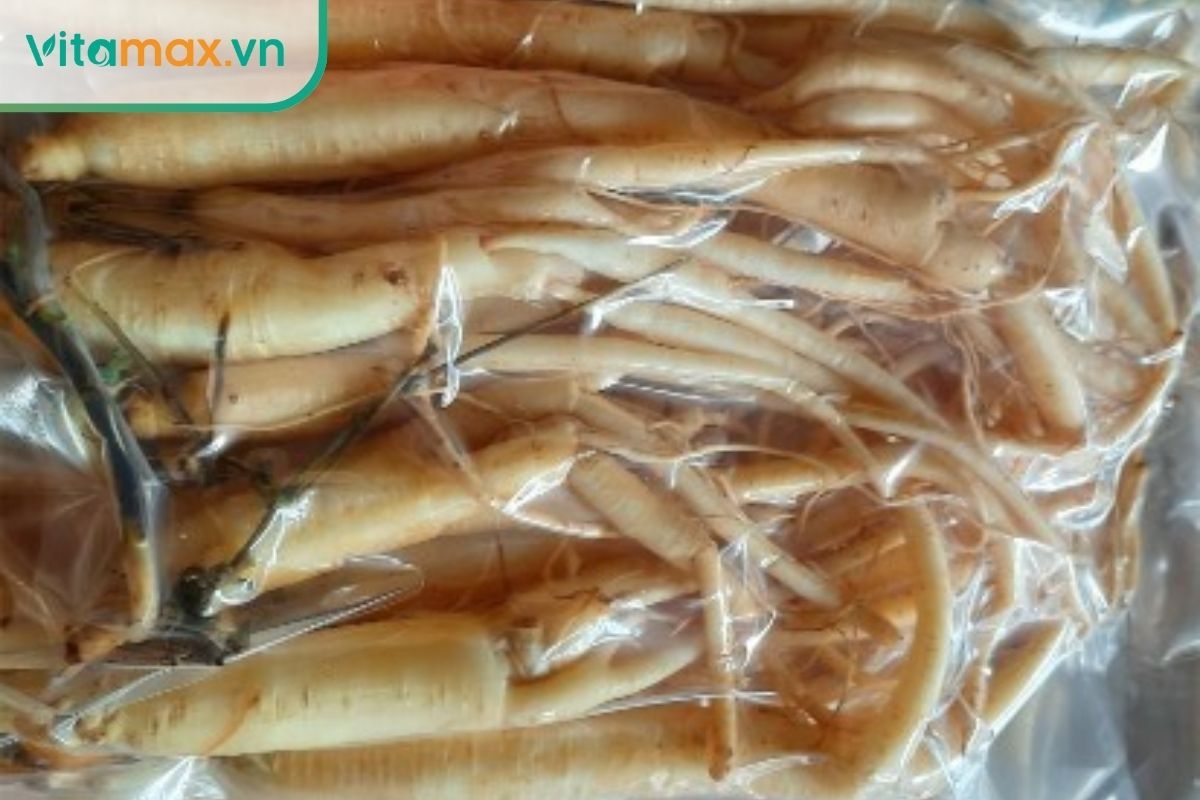 Đóng gói sâm tươi Hàn Quốc hút chân không