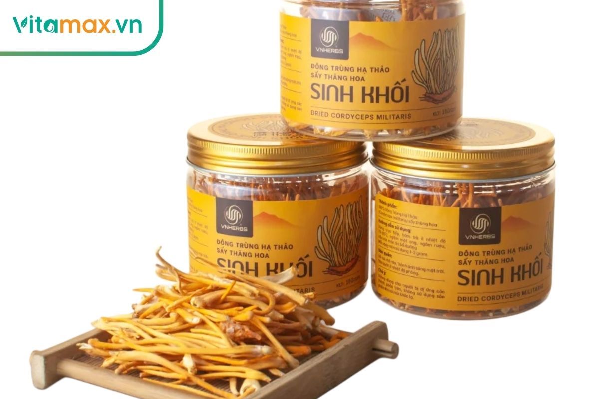 Đông trùng hạ thảo bồi bổ sức khỏe cho người già