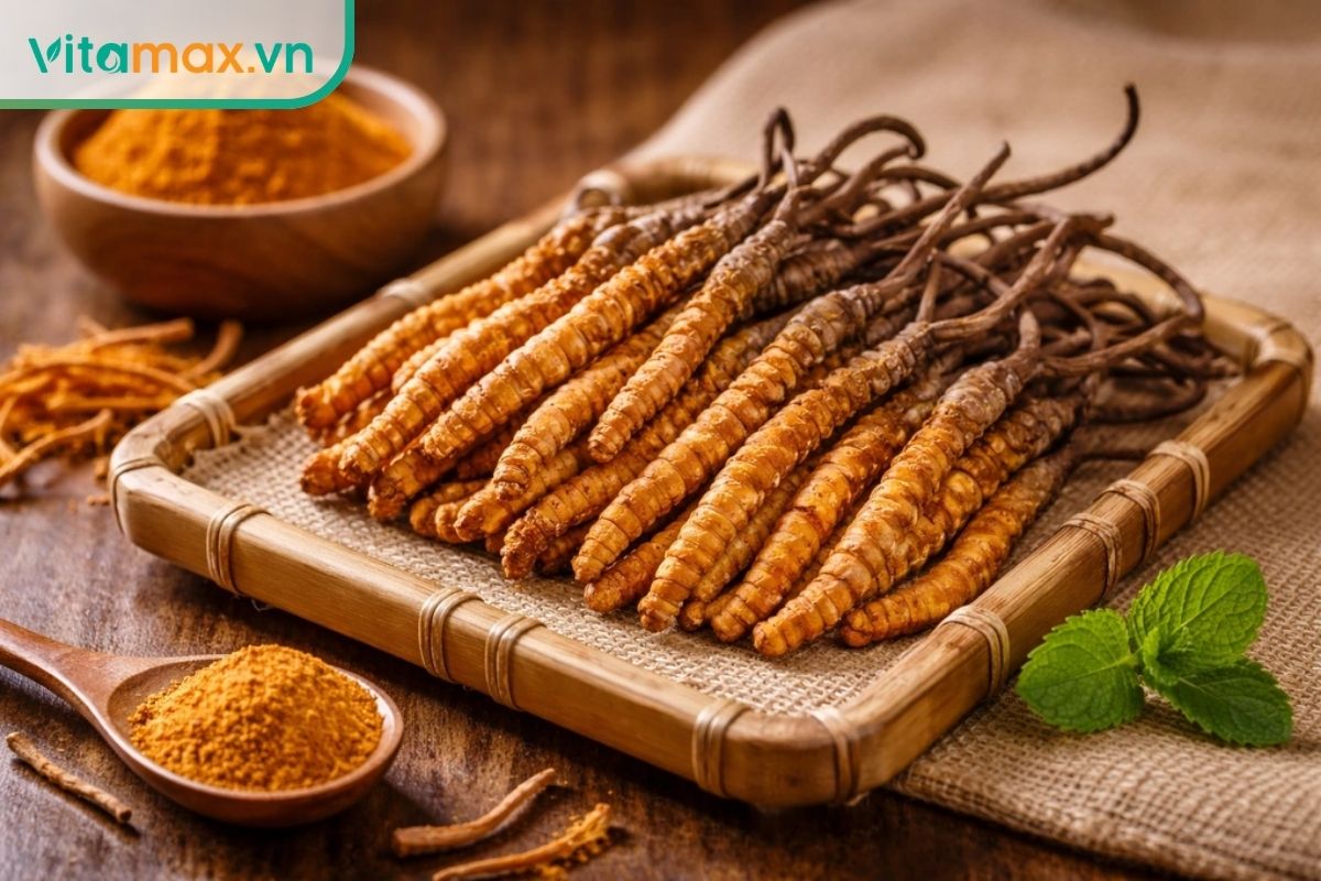 Đông trùng hạ thảo nguyên con màu vàng nâu được xếp trên khay tre, thể hiện rõ phần thân và sợi nấm đặc trưng.