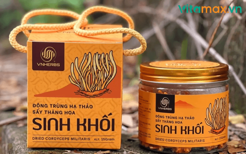 đông trùng hạ thảo chữa yếu sinh lý
