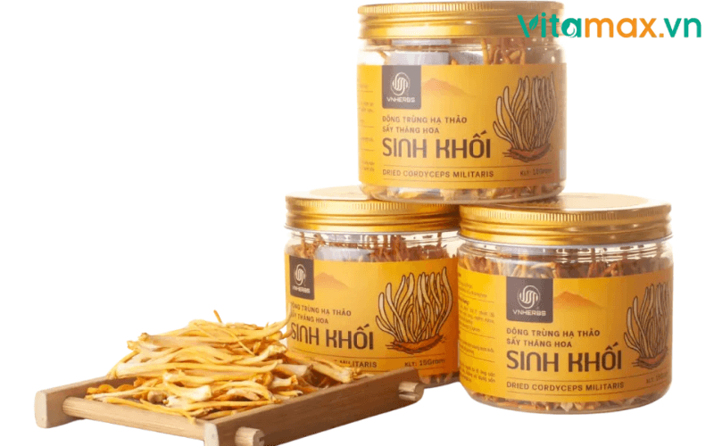 đông trùng hạ thảo chữa yếu sinh lý