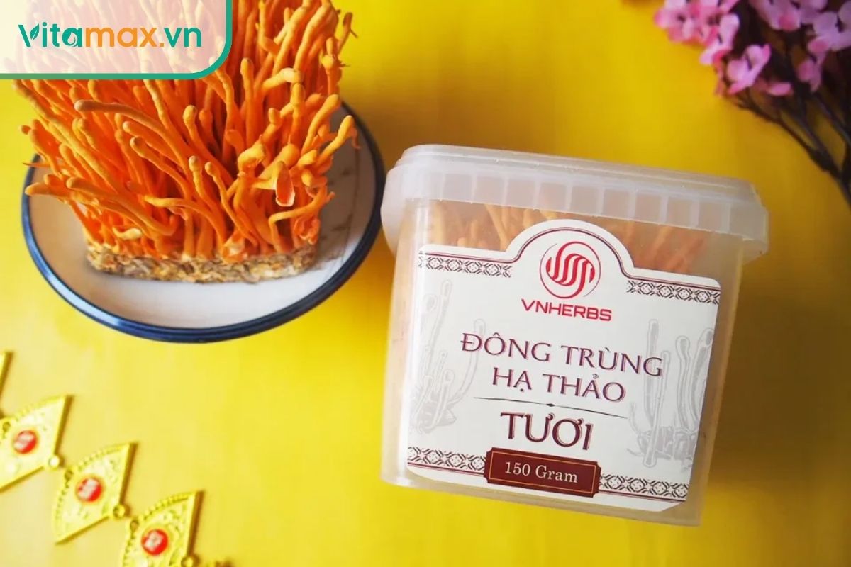 Đông trùng hạ thảo có tác động đa chiều đến sức khỏe tim mạch