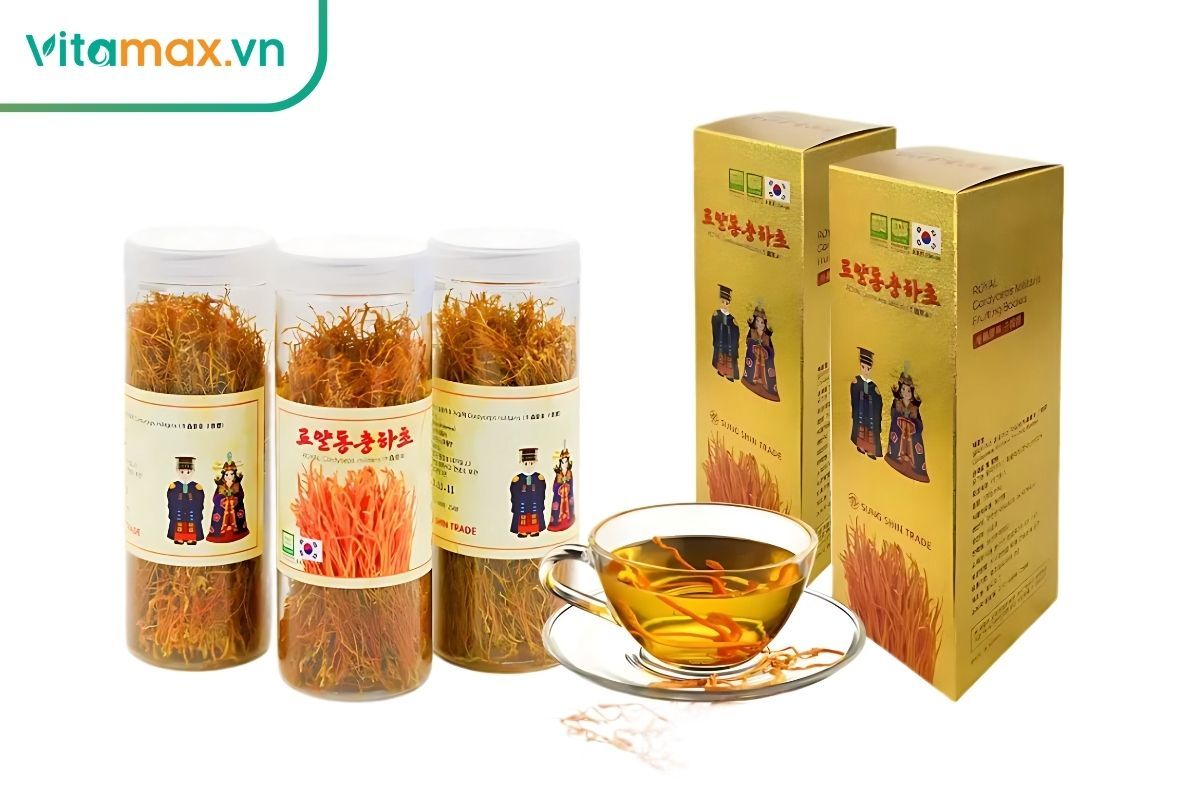 Đông trùng hạ thảo giúp cải thiện chức năng lọc cầu thận và hỗ trợ bệnh nhân suy thận mạn.