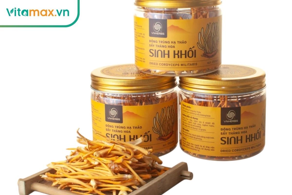 Đông trùng hạ thảo giúp giảm viêm, phục hồi ty thể và bảo vệ tế bào thận.