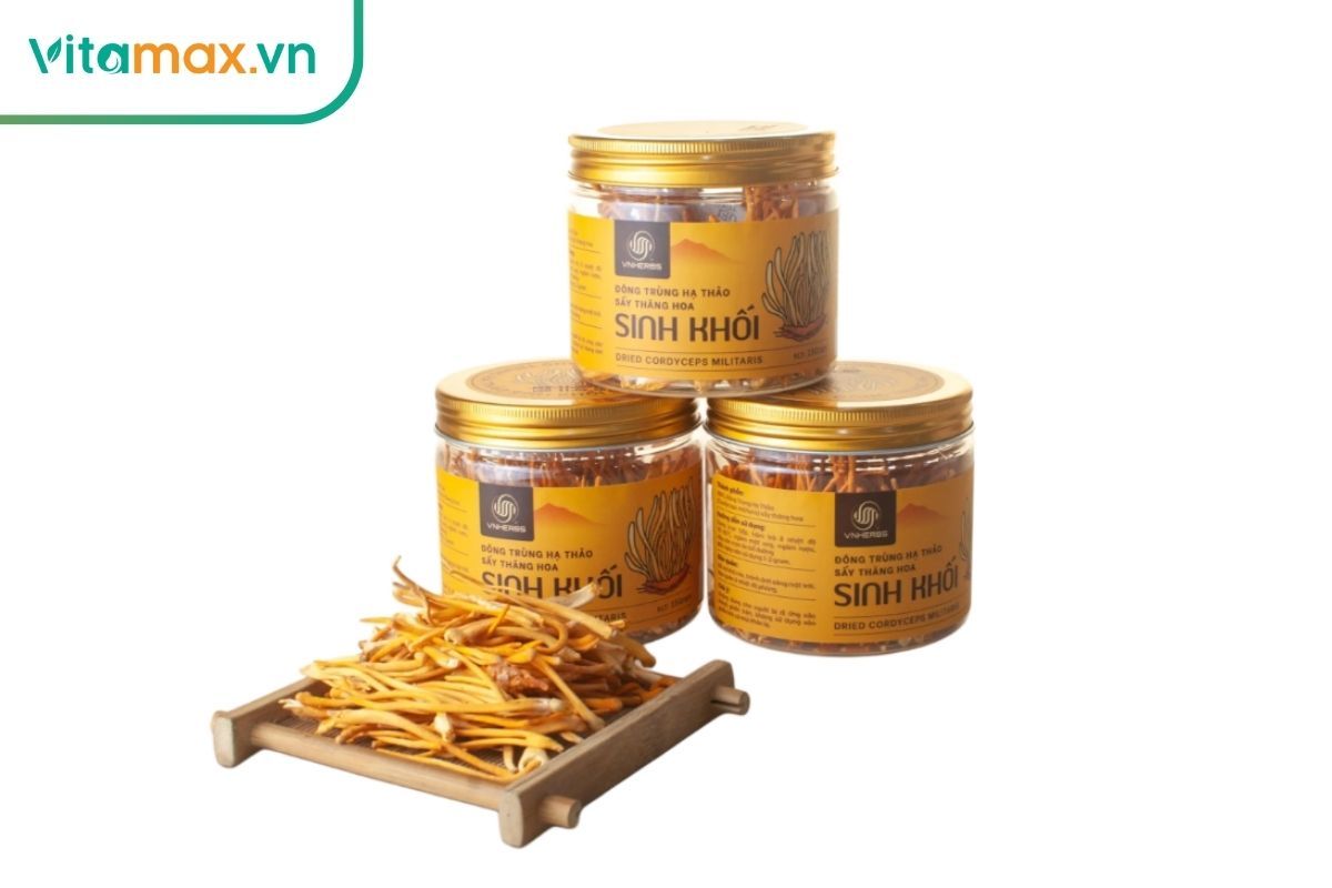 Hình ảnh cận cảnh sợi đông trùng hạ thảo sấy thăng hoa, giữ nguyên hình dáng nhưng có màu vàng cam nhạt hơn và cấu trúc khô giòn.