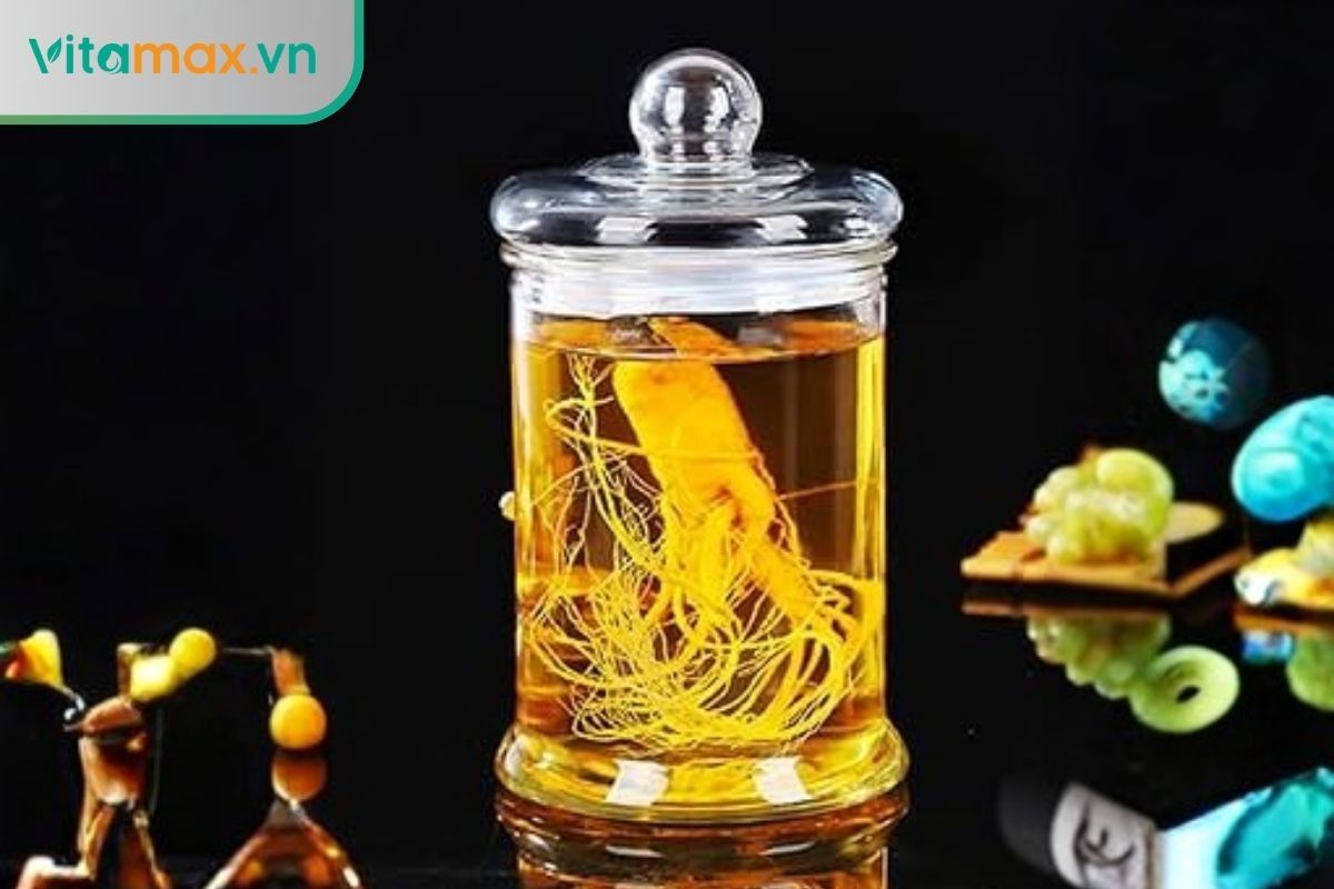Dùng hộp thủy tinh là cách bảo quản sâm tươi an toàn
