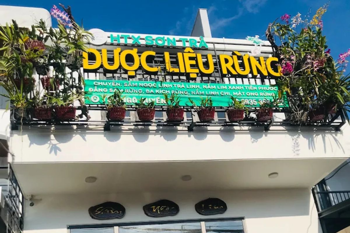 Bảng hiệu lớn của cửa hàng Hợp tác xã Dược Liệu Sơn Trà chuyên bán sâm Ngọc Linh Trà Linh và các loại nấm lim xanh, dược liệu rừng.