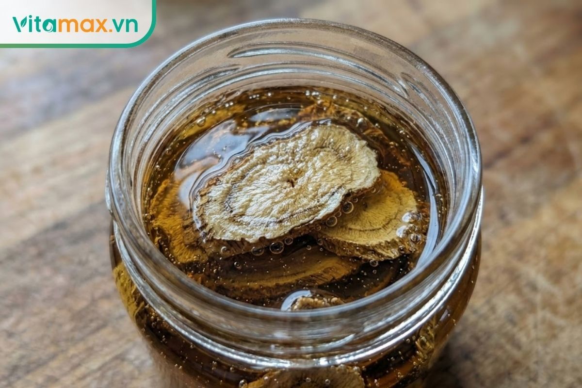 Các lát củ đinh lăng ngâm mật ong tiết ra dược chất quý như saponin và polyphenol.