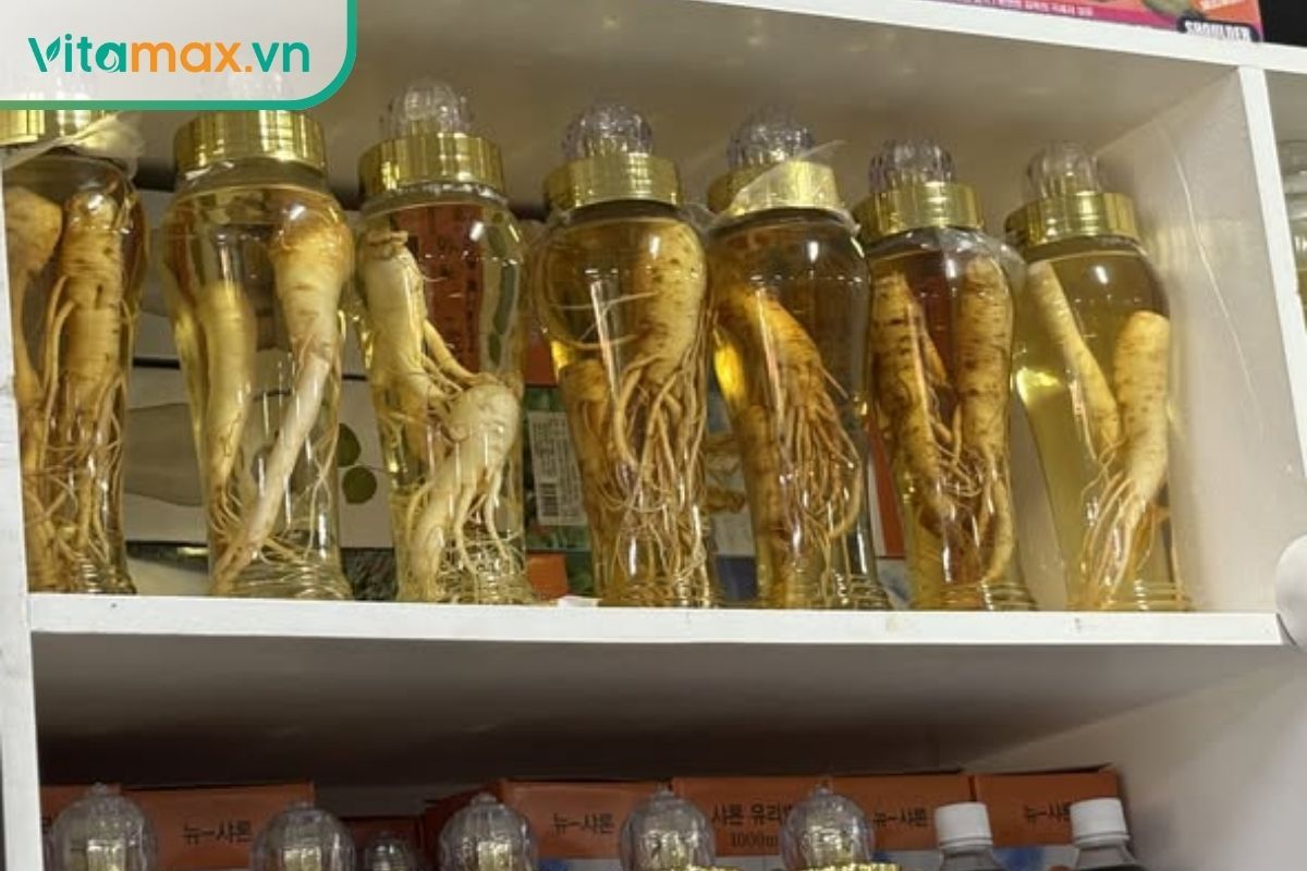 bình rượu sâm Hàn Quốc ngâm từ nhân sâm 6 năm tuổi