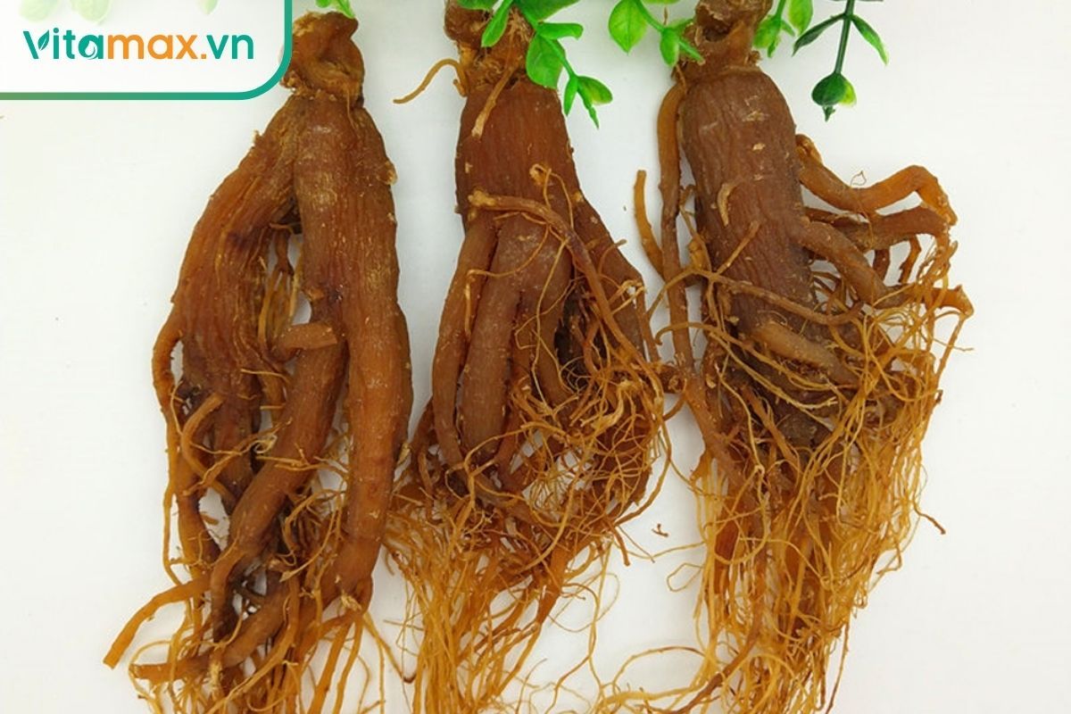 hồng sâm khô Hàn Quốc ngâm rượu