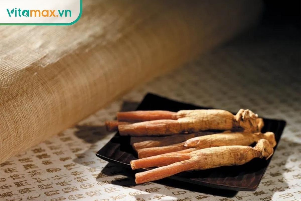 củ thiên sâm đạt chuẩn với thân thẳng, hai chi cân đối và màu nâu đỏ đặc trưng