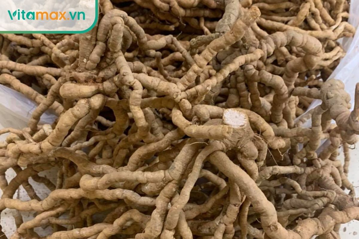 Hoạt chất trong ba kích có tác động tích cực lên khả năng sinh sản nam giới