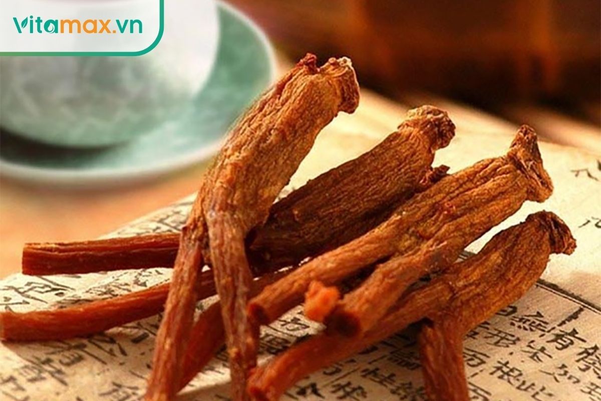 Hồng sâm có khả năng ức chế sự phát triển và di căn của tế bào ung thư.