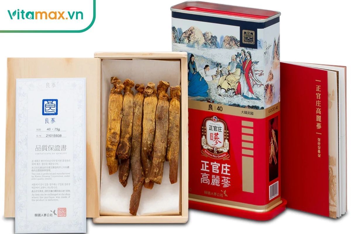 Hồng sâm giúp tăng miễn dịch, giảm mệt mỏi, ổn định đường huyết và chống lão hóa.