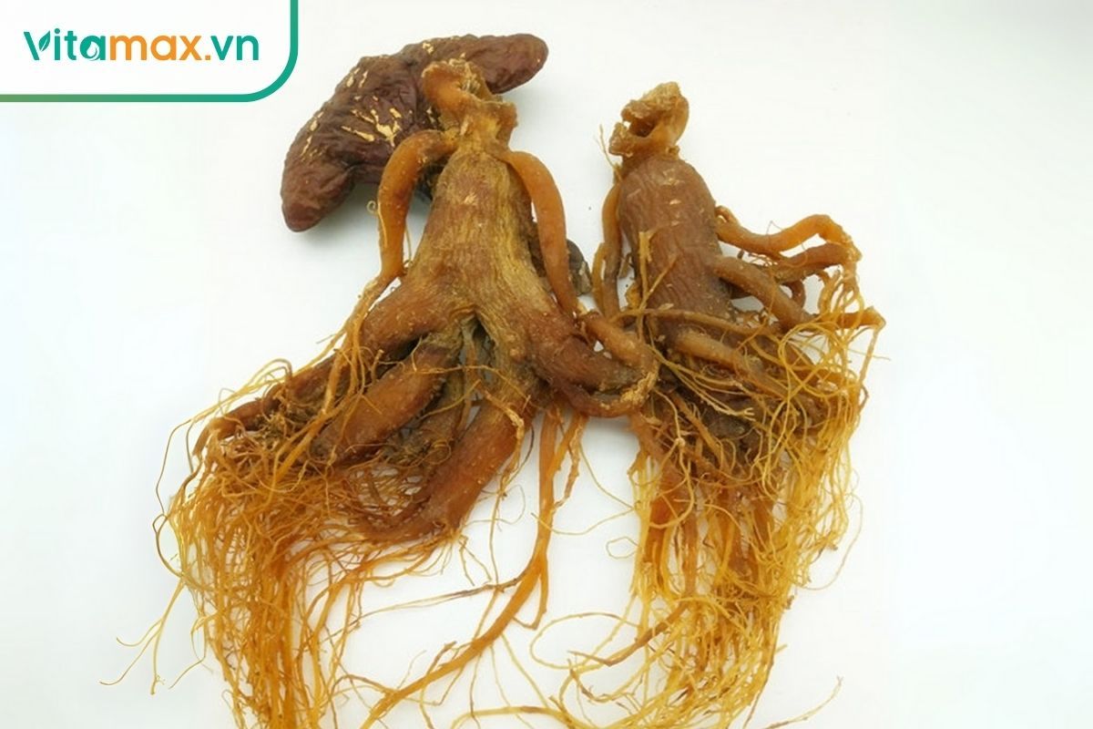 Củ hồng sâm Hàn Quốc 6 năm tuổi có màu nâu đỏ óng ánh đặc trưng sau khi hấp sấy, chứa hàm lượng ginsenoside cao.
