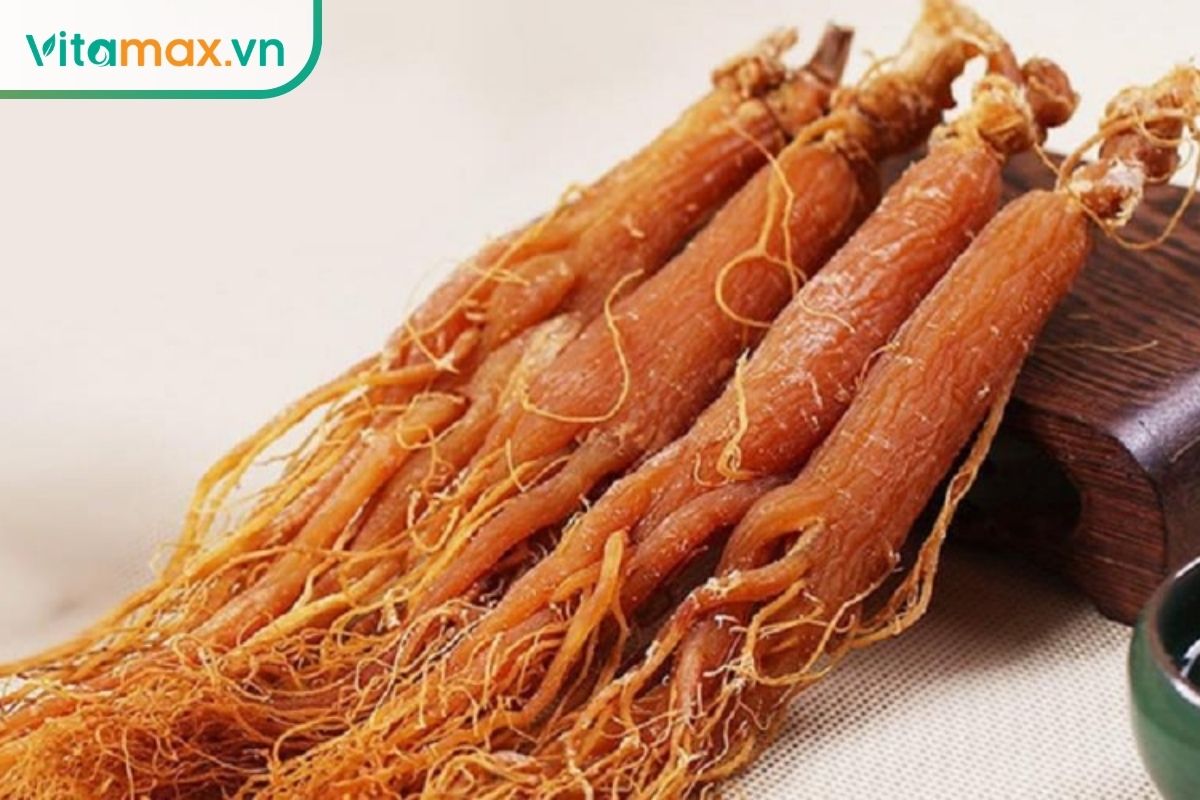 Hồng sâm Hàn Quốc nguyên củ màu nâu đỏ với thân củ dài và nhiều rễ nhỏ được sắp xếp trên bề mặt sáng.
