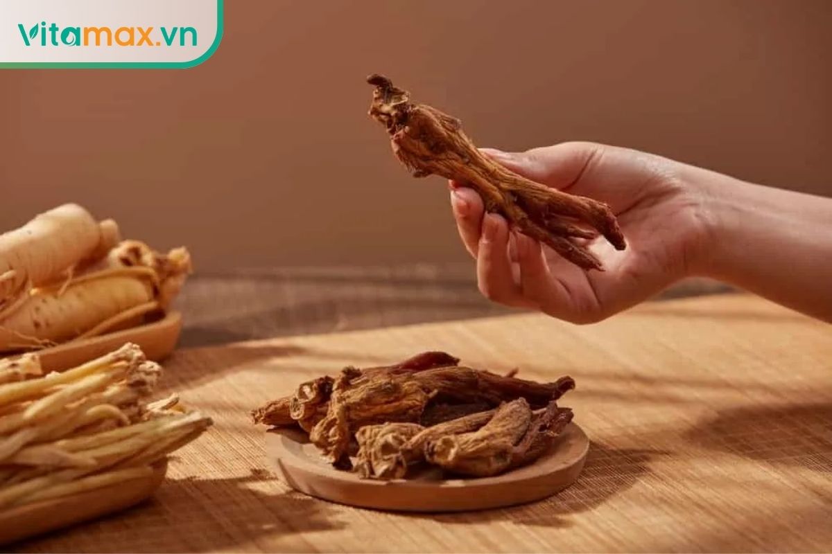 Một củ hồng sâm khô được cầm trên tay, bên dưới là nhiều củ sâm đã chế biến đặt trên khay gỗ.