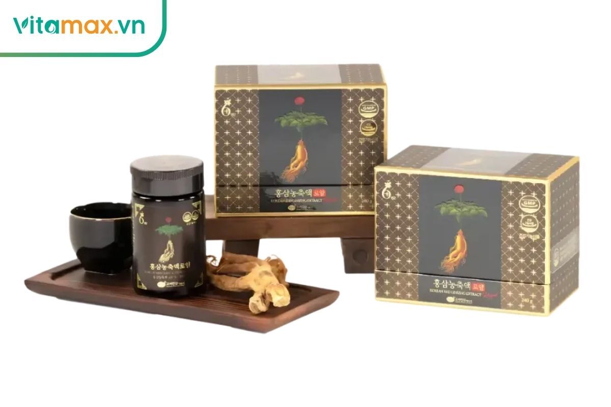 Hồng sâm tăng cường miễn dịch, bảo vệ tim mạch và cải thiện sức khỏe.